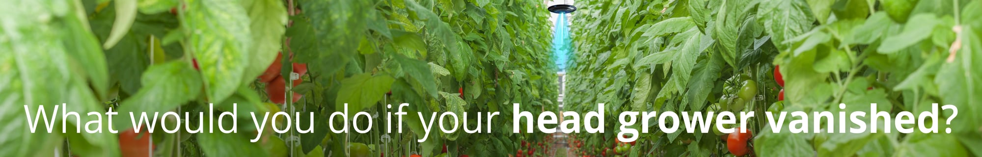 Head Grower Banner Head Grower Banner